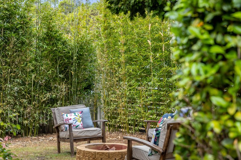 Photo - 57 Bass Street, Centenary Heights QLD 4350 - Image 18