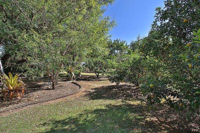 Photo - 57 Bayley Road, Blacksoil QLD 4306 - Image 20