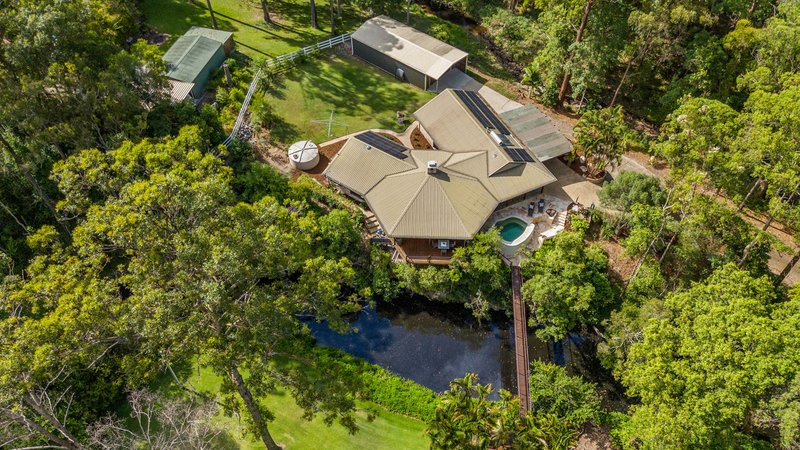 Photo - 57 Birdlife Court, Nerang QLD 4211 - Image 7