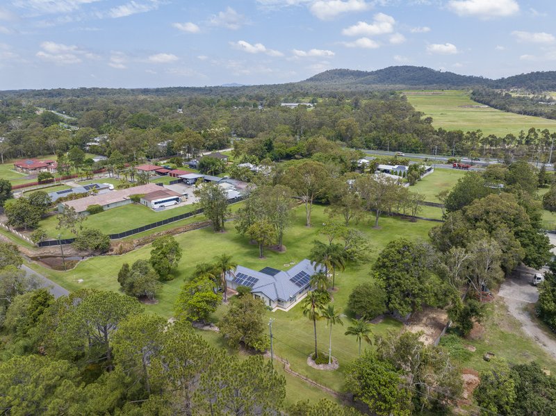 Photo - 57 Boston Road, Belmont QLD 4153 - Image 17