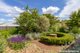 Photo - 57 Brilliant Street, Bathurst NSW 2795 - Image 23