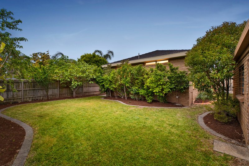 Photo - 57 Columbia Drive, Wheelers Hill VIC 3150 - Image 12