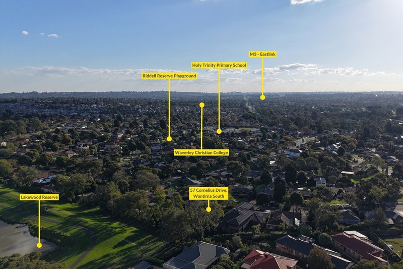 Photo - 57 Cornelius Drive, Wantirna South VIC 3152 - Image 16