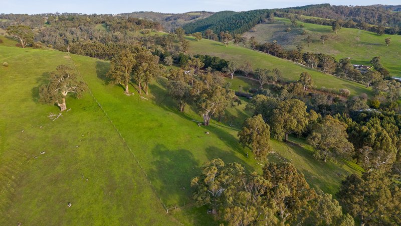 Photo - 57 Cut Hill Road, Kangarilla SA 5157 - Image 24