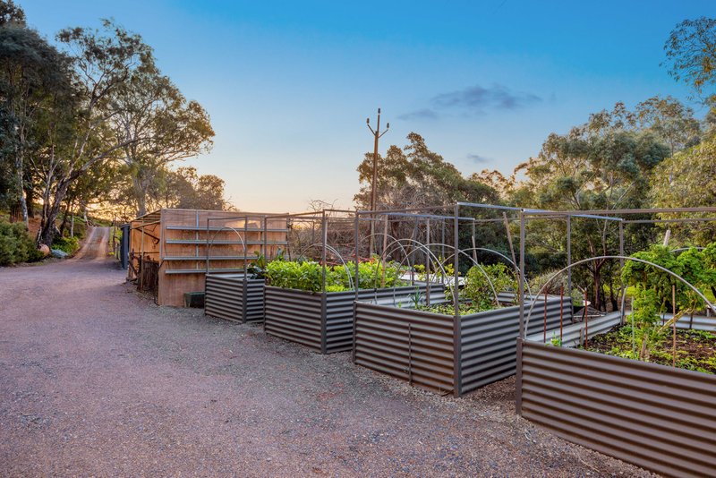 Photo - 57 Cut Hill Road, Kangarilla SA 5157 - Image 30