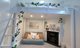 Photo - 57 Dalton Road, Mosman NSW 2088 - Image 11