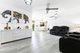 Photo - 57 Dover Street, Pialba QLD 4655 - Image 3