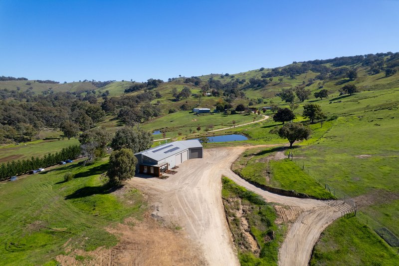 Photo - 57 Gilberts Road, Huon Creek VIC 3691 - Image 3