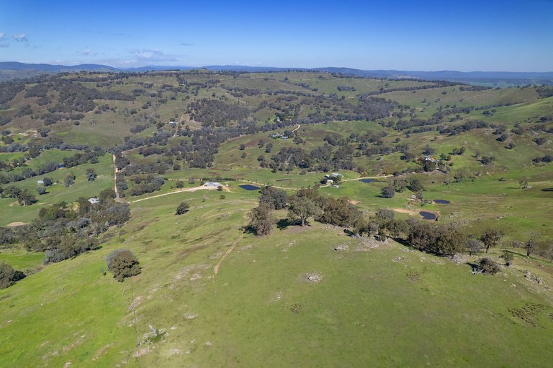 Photo - 57 Gilberts Road, Huon Creek VIC 3691 - Image 17