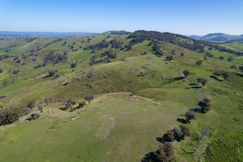 Photo - 57 Gilberts Road, Huon Creek VIC 3691 - Image 18