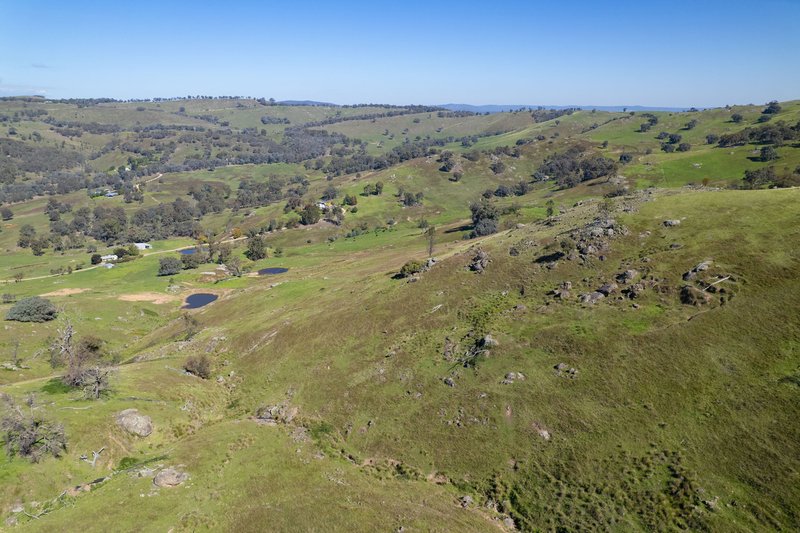 Photo - 57 Gilberts Road, Huon Creek VIC 3691 - Image 19