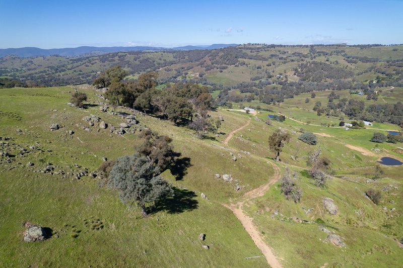 Photo - 57 Gilberts Road, Huon Creek VIC 3691 - Image 20