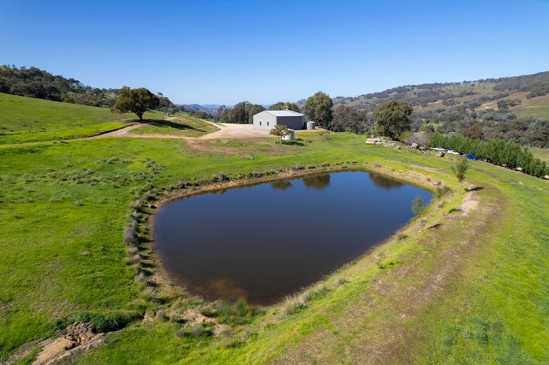 Photo - 57 Gilberts Road, Huon Creek VIC 3691 - Image 23