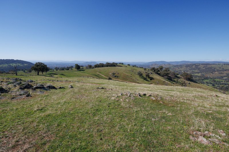Photo - 57 Gilberts Road, Huon Creek VIC 3691 - Image 28