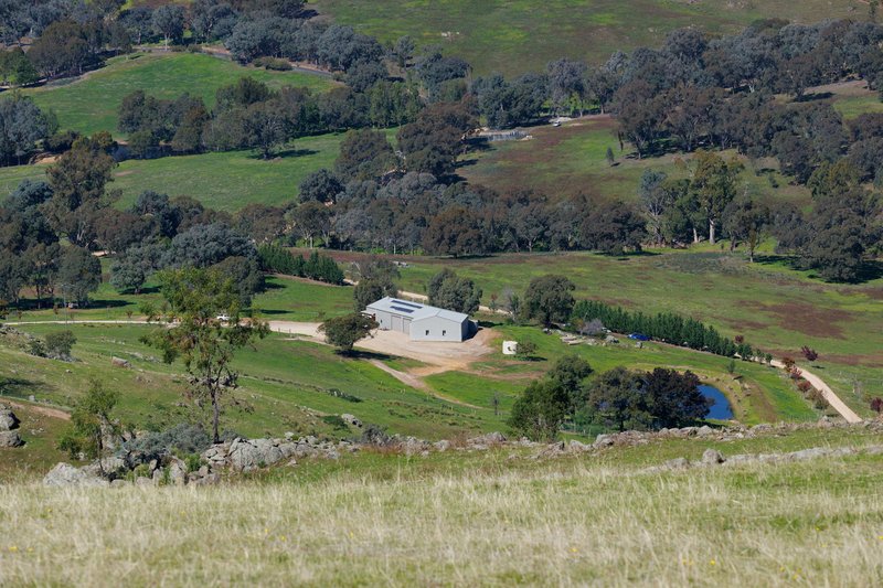 Photo - 57 Gilberts Road, Huon Creek VIC 3691 - Image 29