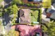 Photo - 57 Greens Avenue, Oatlands NSW 2117 - Image 9