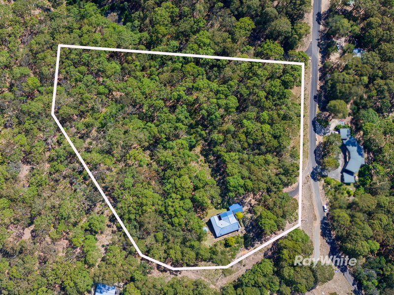 Photo - 57 Hazel Road, Moruya Heads NSW 2537 - Image 17