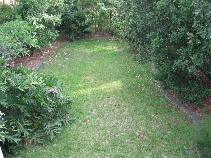 Photo - 57 Kent Street, Hamilton QLD 4007 - Image 10