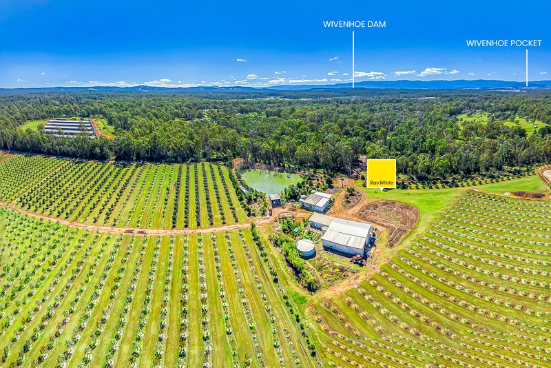 Photo - 57 Larsens Road, Coominya QLD 4311 - Image 3