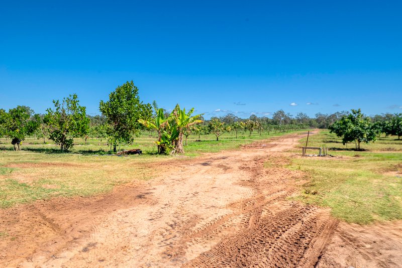 Photo - 57 Larsens Road, Coominya QLD 4311 - Image 18