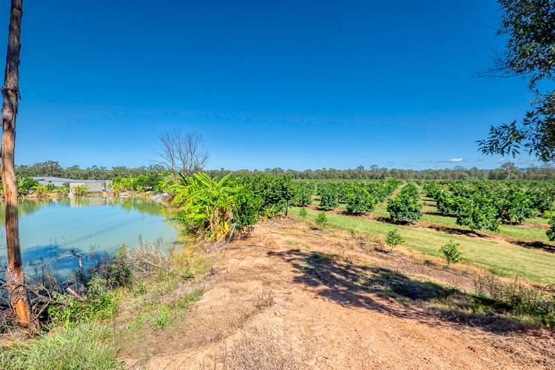 Photo - 57 Larsens Road, Coominya QLD 4311 - Image 22