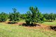 Photo - 57 Larsens Road, Coominya QLD 4311 - Image 24