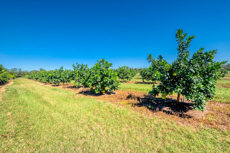 Photo - 57 Larsens Road, Coominya QLD 4311 - Image 25