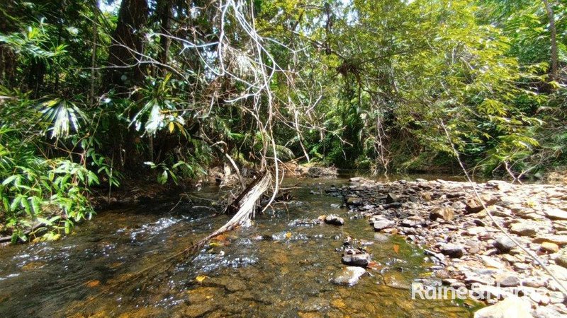 Photo - 57 Mahogany Road, Daintree QLD 4873 - Image 3