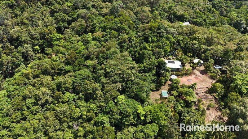 Photo - 57 Mahogany Road, Daintree QLD 4873 - Image 18