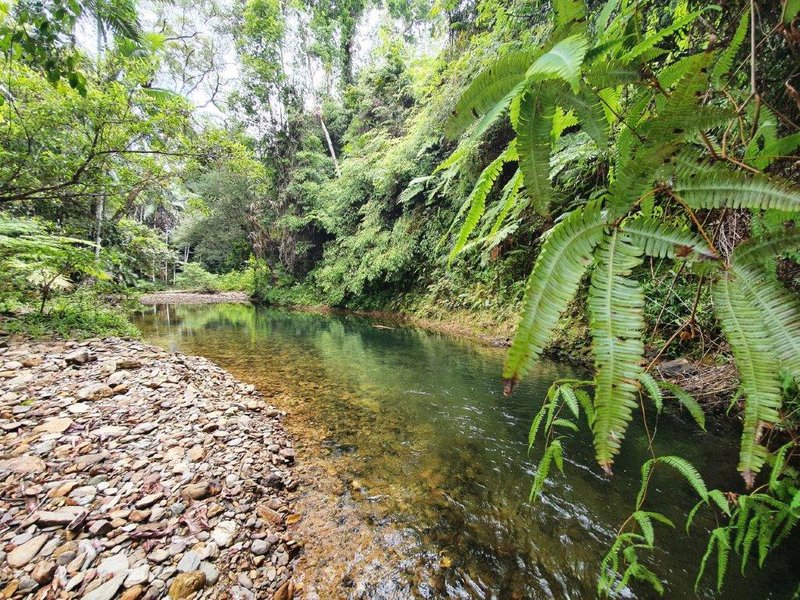 Photo - 57 Mahogany Road, Daintree QLD 4873 - Image 20