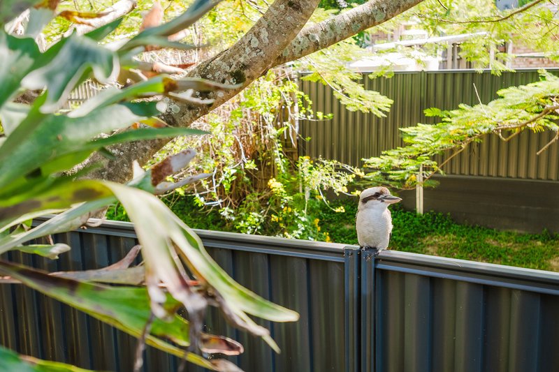 Photo - 57 Mcalroy Road, Ferny Grove QLD 4055 - Image 13