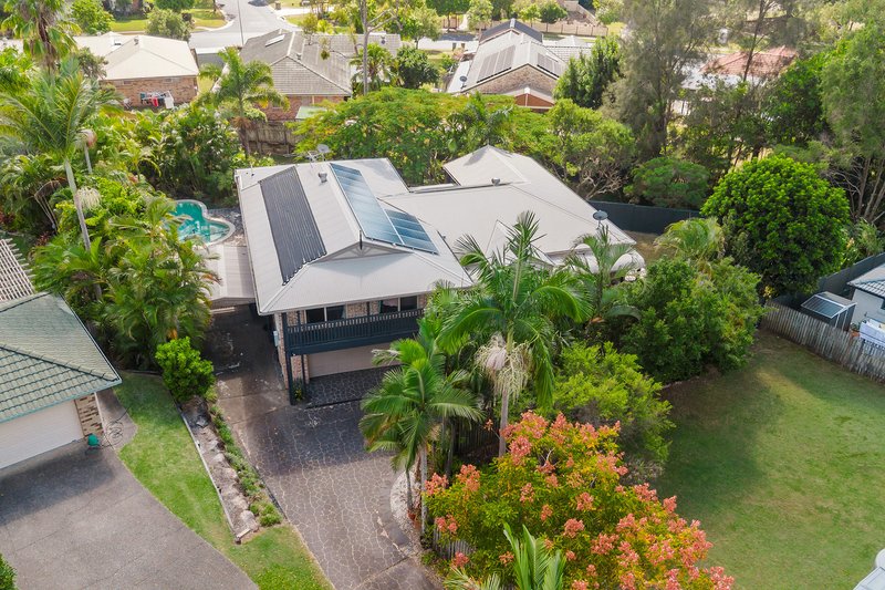 Photo - 57 Mcalroy Road, Ferny Grove QLD 4055 - Image 22