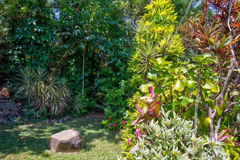 Photo - 57 Mission Drive, South Mission Beach QLD 4852 - Image 33