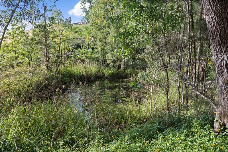 Photo - 57 Old Gympie Road, Yandina QLD 4561 - Image 16