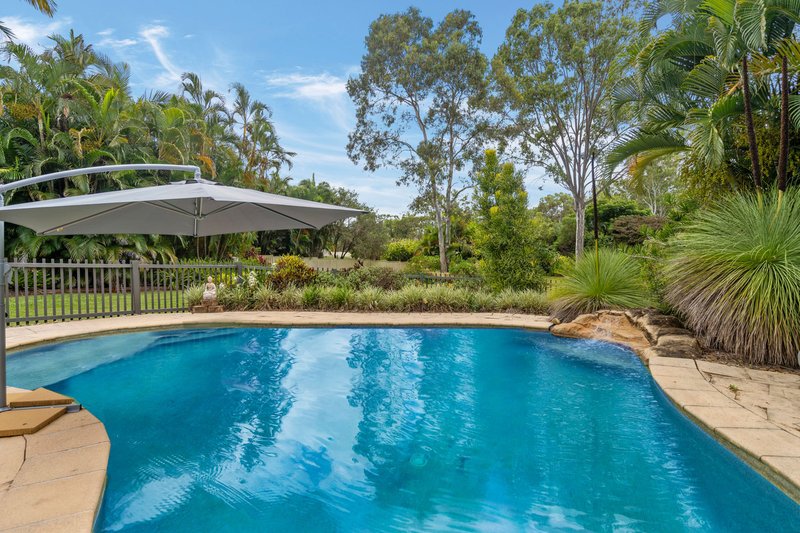 Photo - 57 Peachey Road, Ormeau QLD 4208 - Image 3