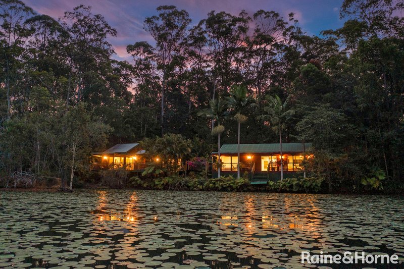 Photo - 57 Ponderosa Drive, Cooroy QLD 4563 - Image 2