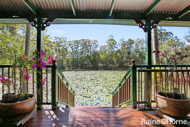 Photo - 57 Ponderosa Drive, Cooroy QLD 4563 - Image 4