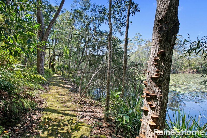 Photo - 57 Ponderosa Drive, Cooroy QLD 4563 - Image 25