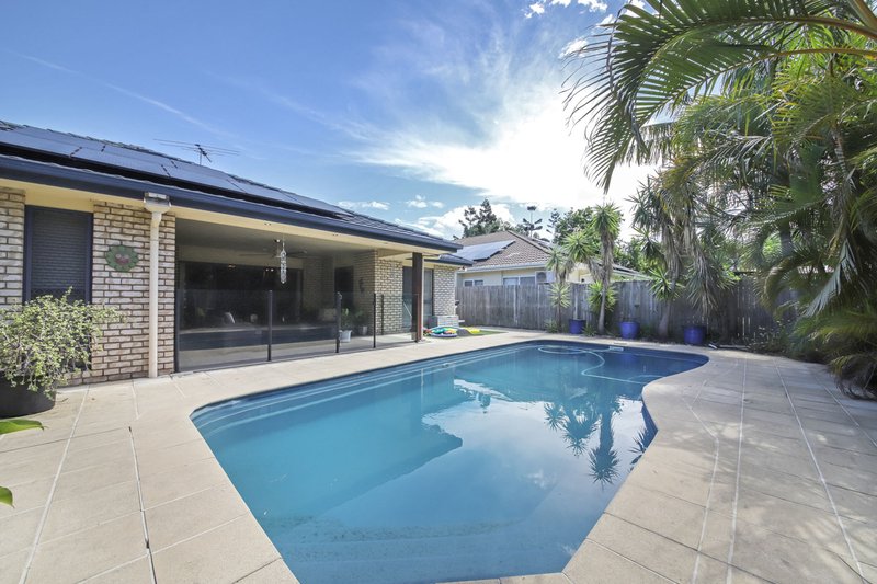 Photo - 57 Raynbird Place, Carseldine QLD 4034 - Image 3