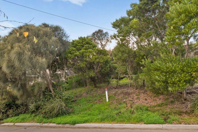 Photo - 57 St Andrews Avenue, Rosebud VIC 3939 - Image 16