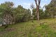 Photo - 57 St Andrews Avenue, Rosebud VIC 3939 - Image 21