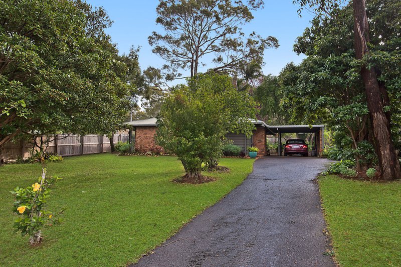 Photo - 57 Tulip Lane, Buderim QLD 4556 - Image 12