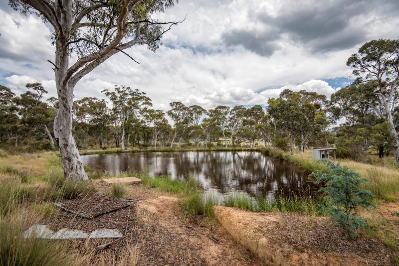 Photo - 57 Urila Road, Burra NSW 2620 - Image 26