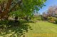 Photo - 57 Wingfield Road, Narromine NSW 2821 - Image 30