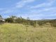 Photo - 570 Toms Gully Road, Hickeys Creek NSW 2440 - Image 10