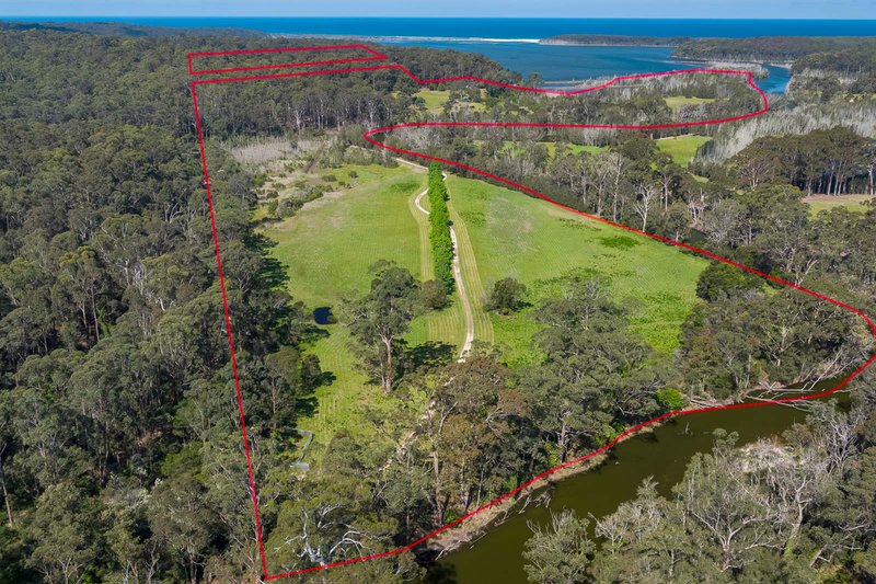 Photo - 5707 Princes Highway, Bodalla NSW 2545 - Image 4