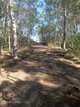 Photo - 572 Mineral Road, Rosedale QLD 4674 - Image 4