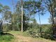 Photo - 572 Mineral Road, Rosedale QLD 4674 - Image 8