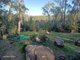 Photo - 572 Mineral Road, Rosedale QLD 4674 - Image 9