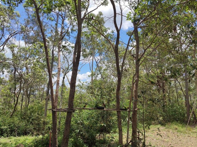 Photo - 572 Mineral Road, Rosedale QLD 4674 - Image 22